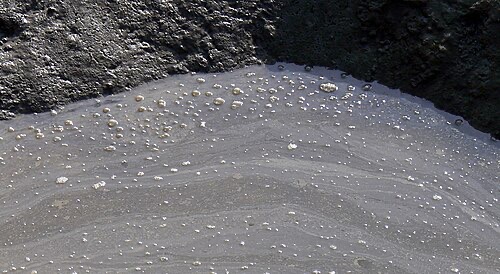A thin bacterial film on still water (outdoors). Tanks with weak surface flow grow a similar dull skin.