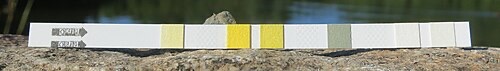 A 6-in-1 aquarium test strip; one of the pads measures chlorine.