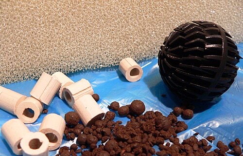 Filter media (ceramic rings, bio-balls, sponge). Cycling grows good bacteria on these surfaces.