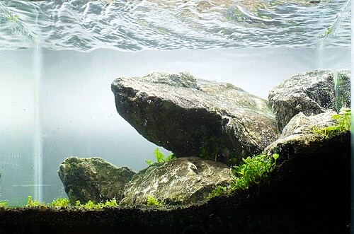 Seiryu stone like this contains lime and can slowly raise pH and hardness. Know what your rocks do.